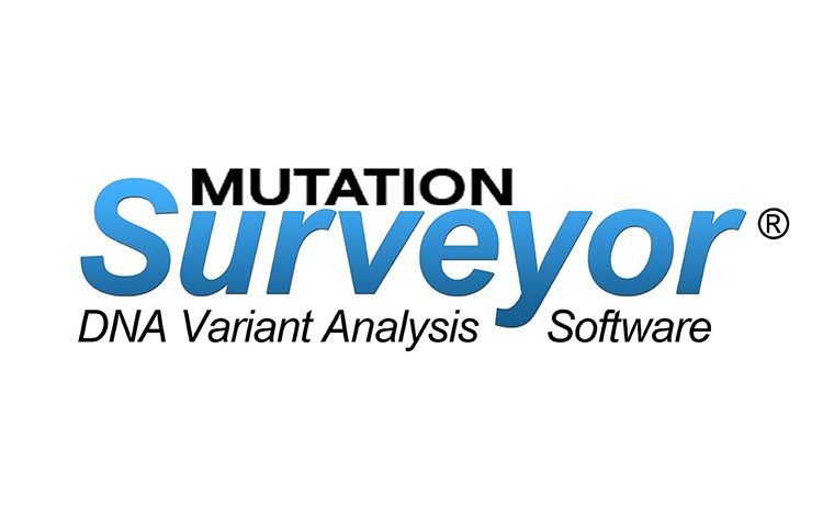 Mutation Surveyor Demo